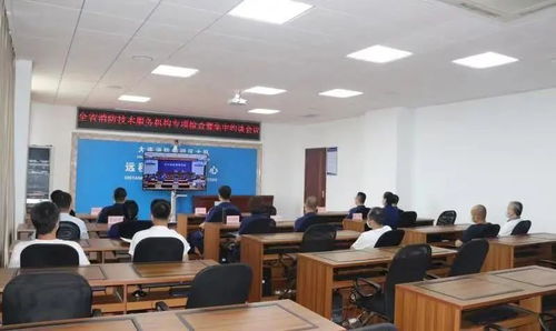 消防技术服务机构因违规执业被依法处罚