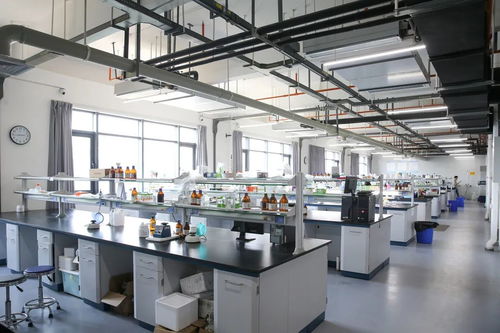 小天使集团 以创新科技引领健康与美的未来